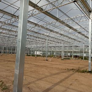 Glasshouse