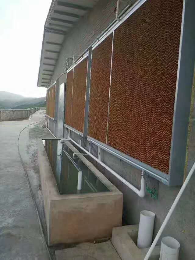 水帘安装1.jpg