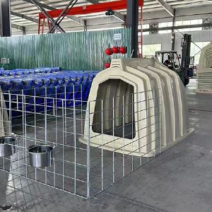 犊牛岛